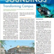 Soundings Newsletter, University of Miami, Summer 2010